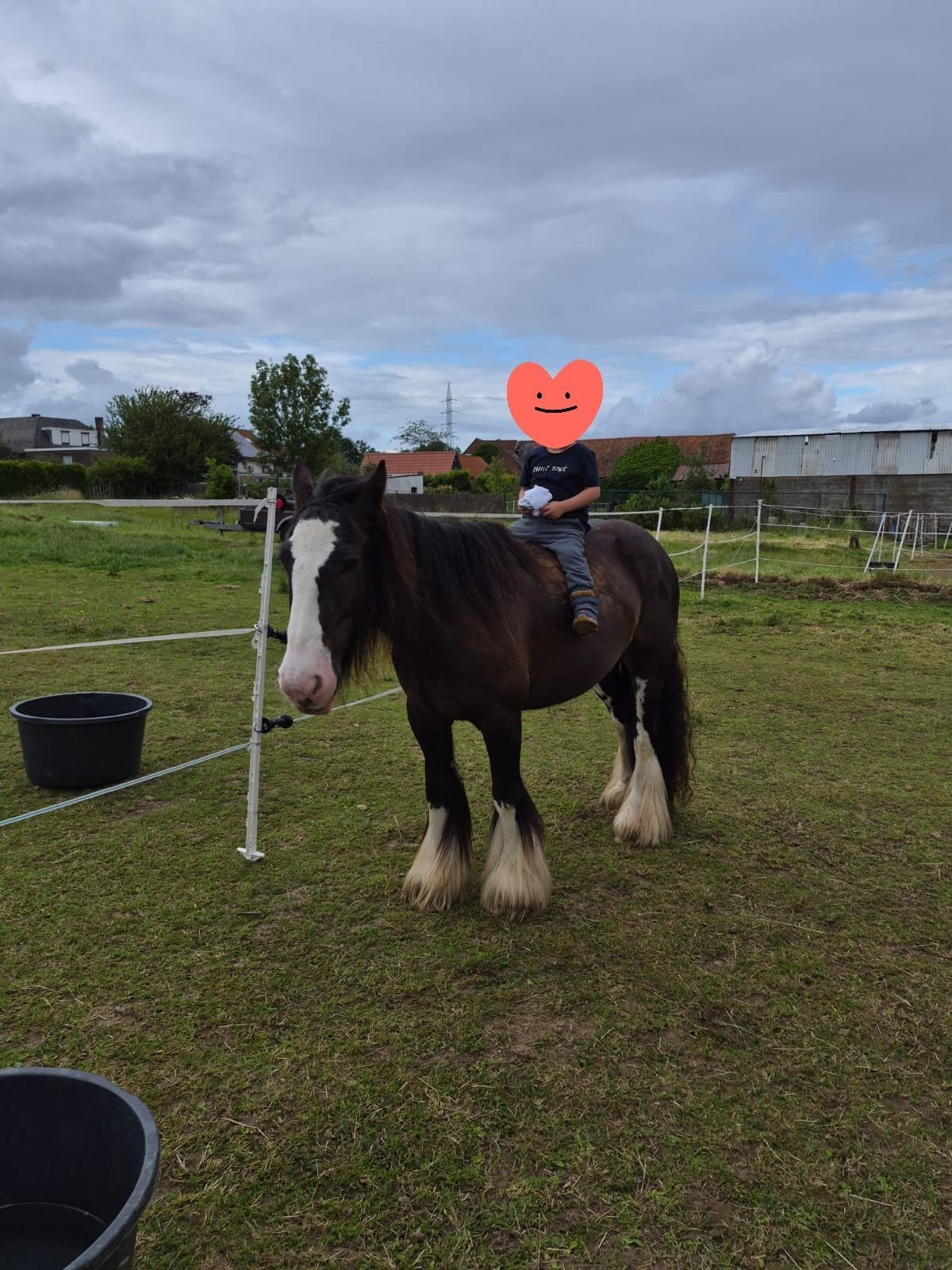 Super brave 11 jarige tinker merrie, Dieren en Toebehoren, Pony's, Merrie, M