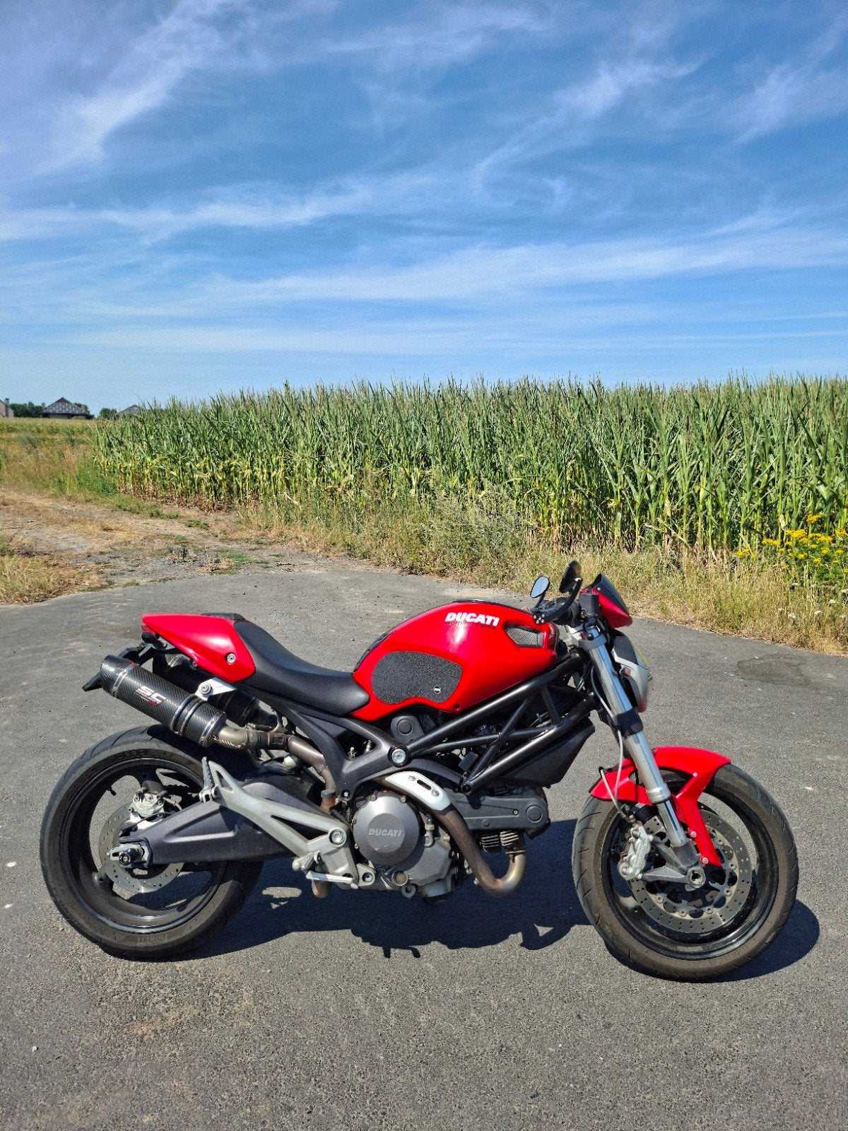 Ducati Monster 696 (A2), Motoren, 2 cilinders, Sportuitlaat, Occasion, Particulier