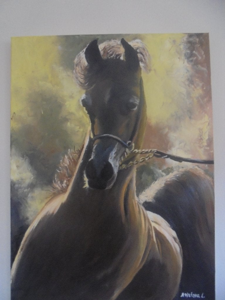 Joli tableau (cheval), Antiquités & Art, Art | Peinture | Classique, Enlèvement