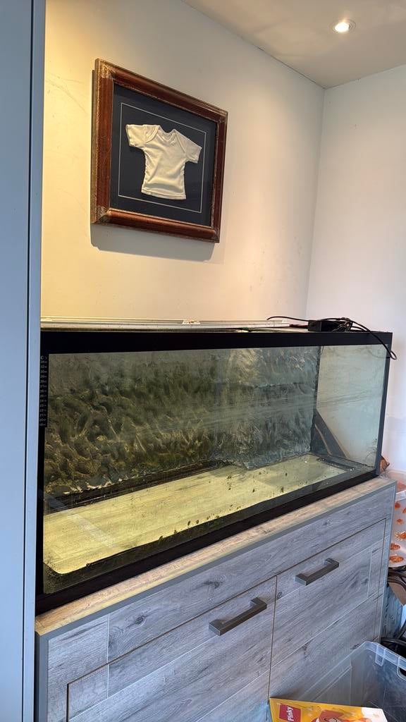 Groot Aquarium met onderkast, Dieren en Toebehoren, Vissen | Aquaria en Toebehoren, Ophalen, Gebruikt, Leeg aquarium