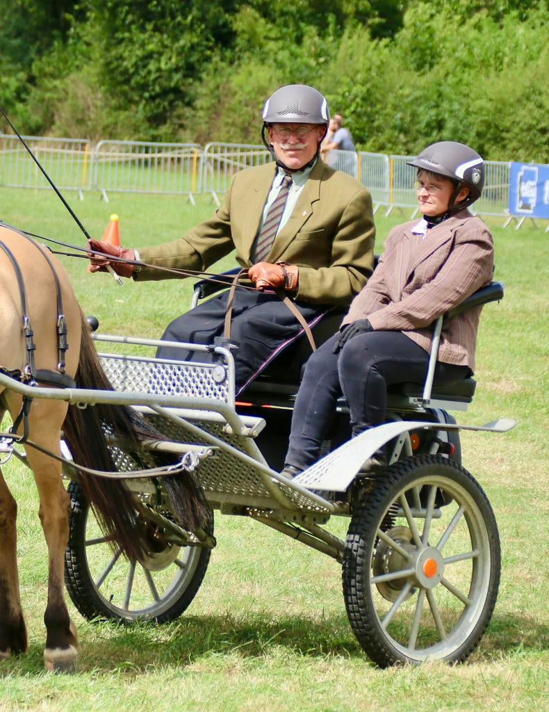 VOITURE 2 ROUES - tout chemin, Animaux & Accessoires, Chevaux & Poneys | Semi-remorques & Remorques, Utilisé, Remorque 1 cheval