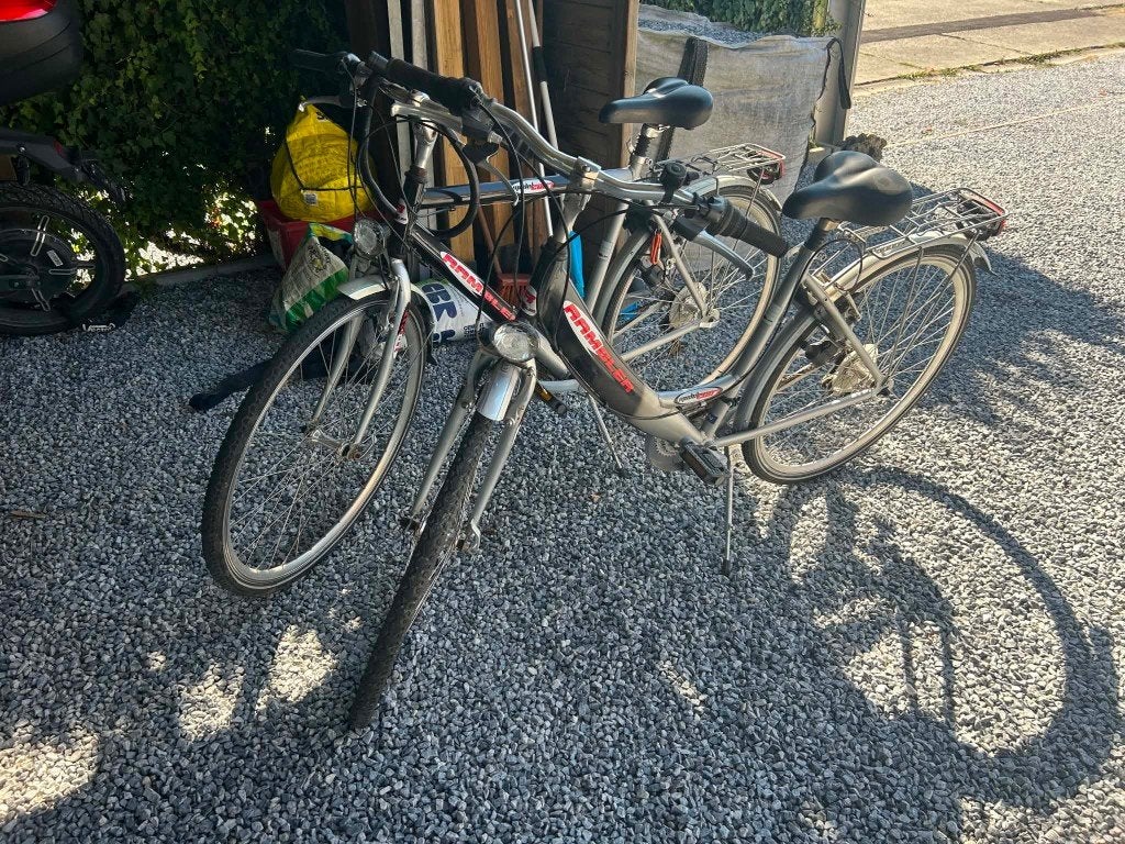 dames en herenfiets rambler set 125 euro, Enlèvement, Utilisé, Femmes, Autres marques