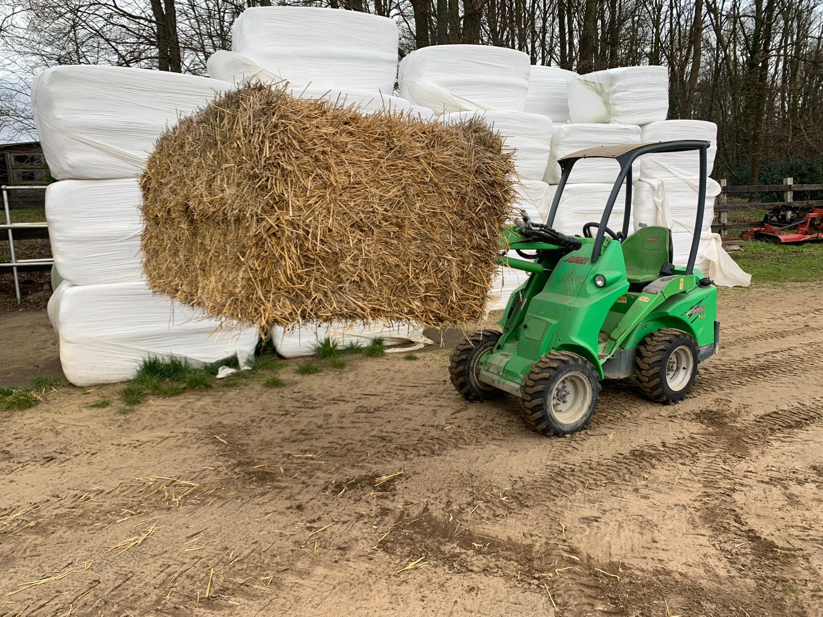 Tarwe stro, Dieren en Toebehoren, Ophalen