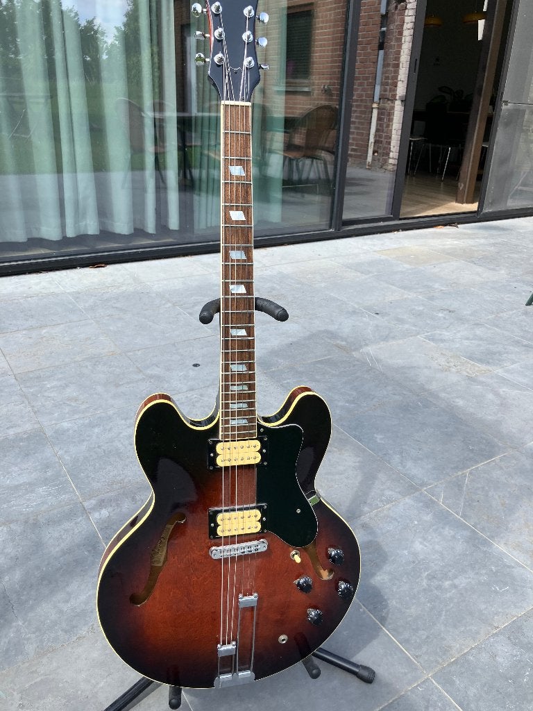 Epiphone Riviera Matsumoku Japan 1981/1982, Muziek en Instrumenten, Snaarinstrumenten | Gitaren | Elektrisch, Ophalen, Gebruikt