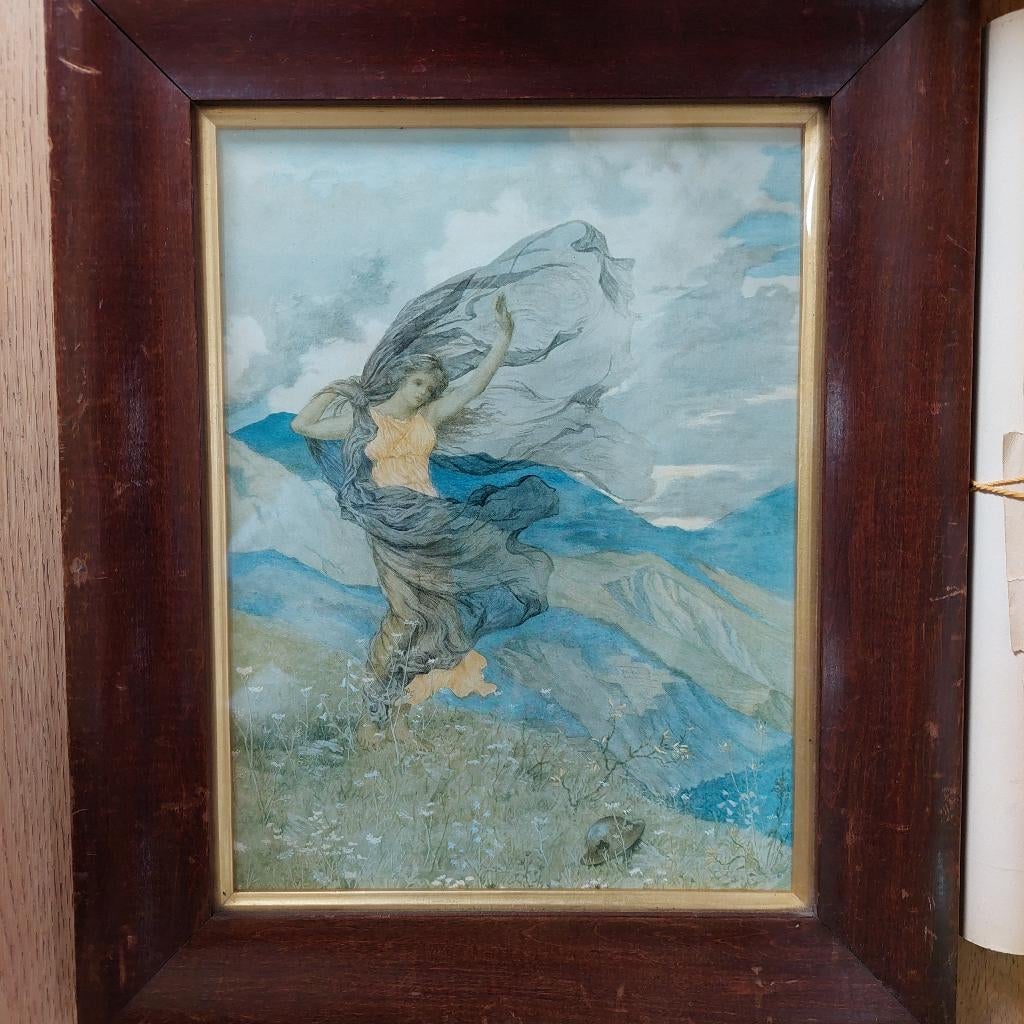 prachtige litho originele frame, Ophalen of Verzenden, 41 cm, 33 cm, Lithografie