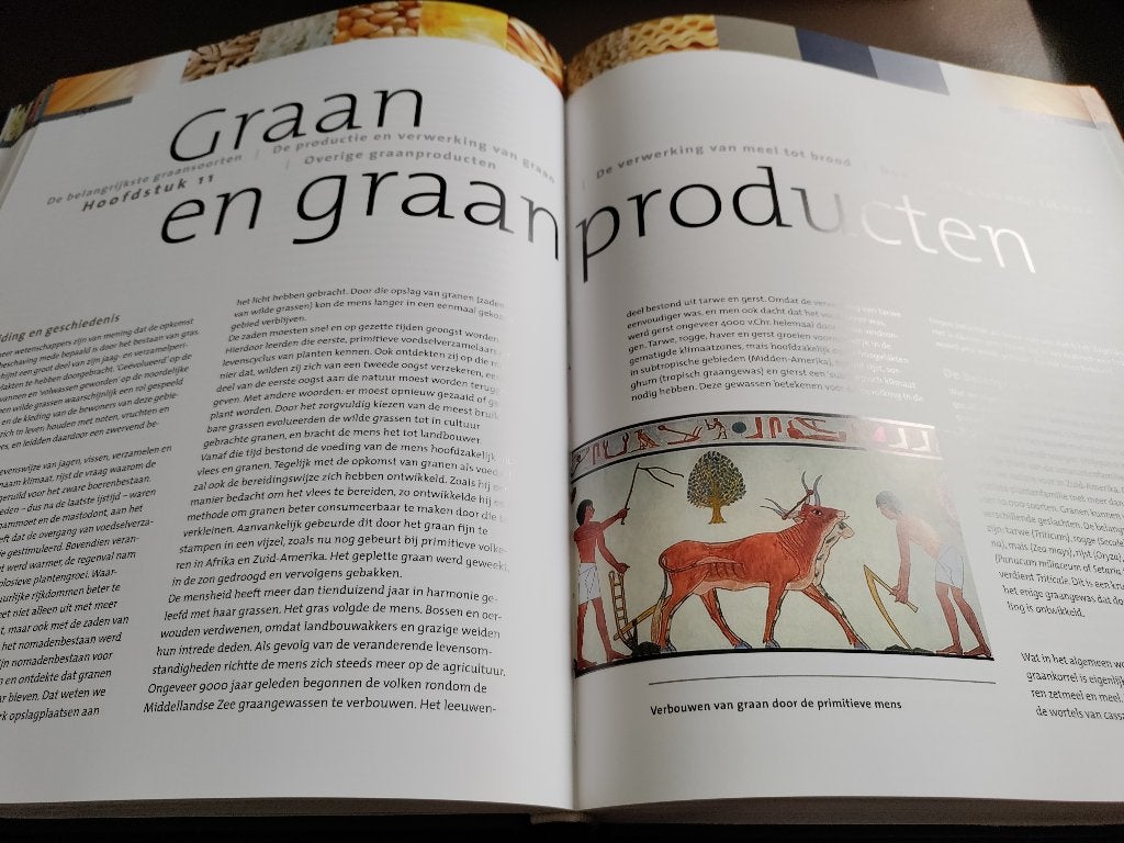 Boek Ons voedsel, Boeken, Gezondheid, Dieet en Voeding, Ophalen, Dieet en Voeding, Frans M. de Jong, Zo goed als nieuw