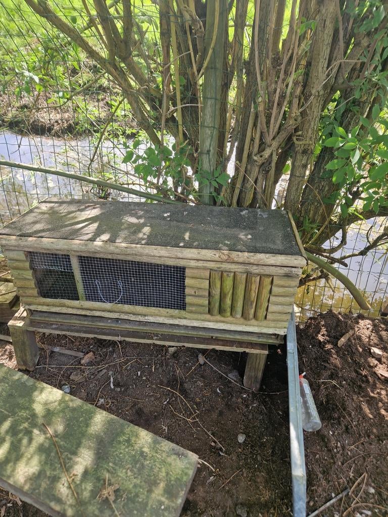 Konijnhokjes of cavia, Dieren en Toebehoren, Ophalen