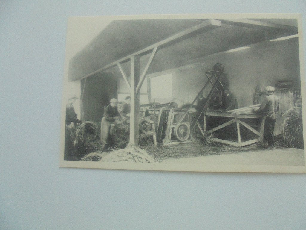 vlasteelt- het uitpersen, Verzamelen, Postkaarten | België, Verzenden, 1920 tot 1940, Ongelopen, West-Vlaanderen