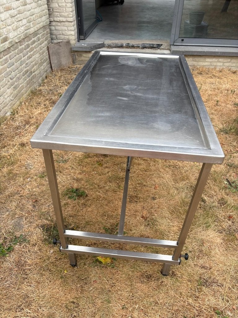 Table d'opération professionnelle pour petits animaux ., Enlèvement, Utilisé