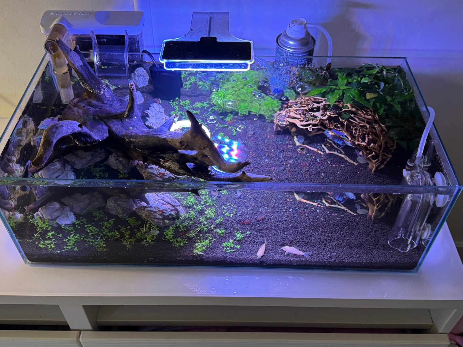 Shallow aquarium 40L inclusief filter en verwarming, Dieren en Toebehoren, Ophalen, Verwarming, Zo goed als nieuw, Filter