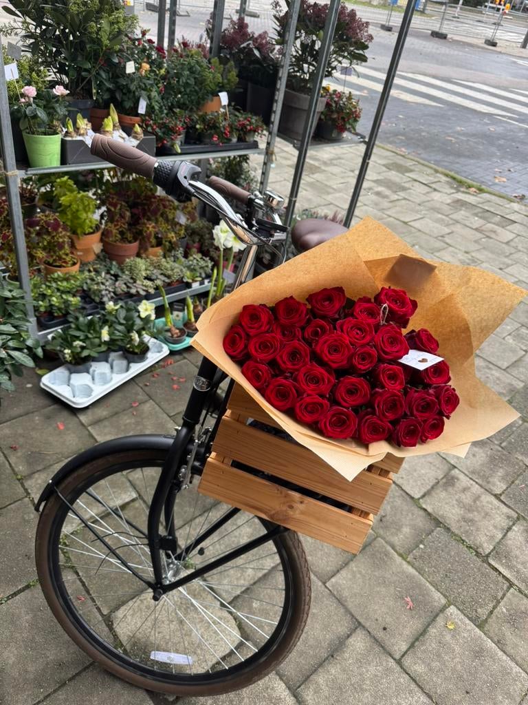 PRACHTIGE POPAL FIETS TE KOOP!!!, Fietsen en Brommers, Ophalen, Zo goed als nieuw