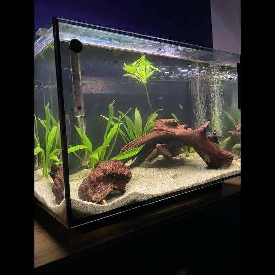 Aquascaper superfish 90L, Enlèvement ou Envoi, Aquarium vide, Comme neuf, Superfish