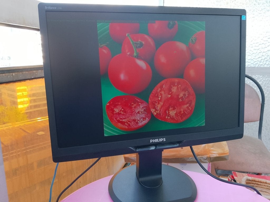 SCHERM PHILIPS 220B2 22" : HDMI/VGA/DVI/USB, audio, Ophalen, DVI, Gebruikt, Phillips