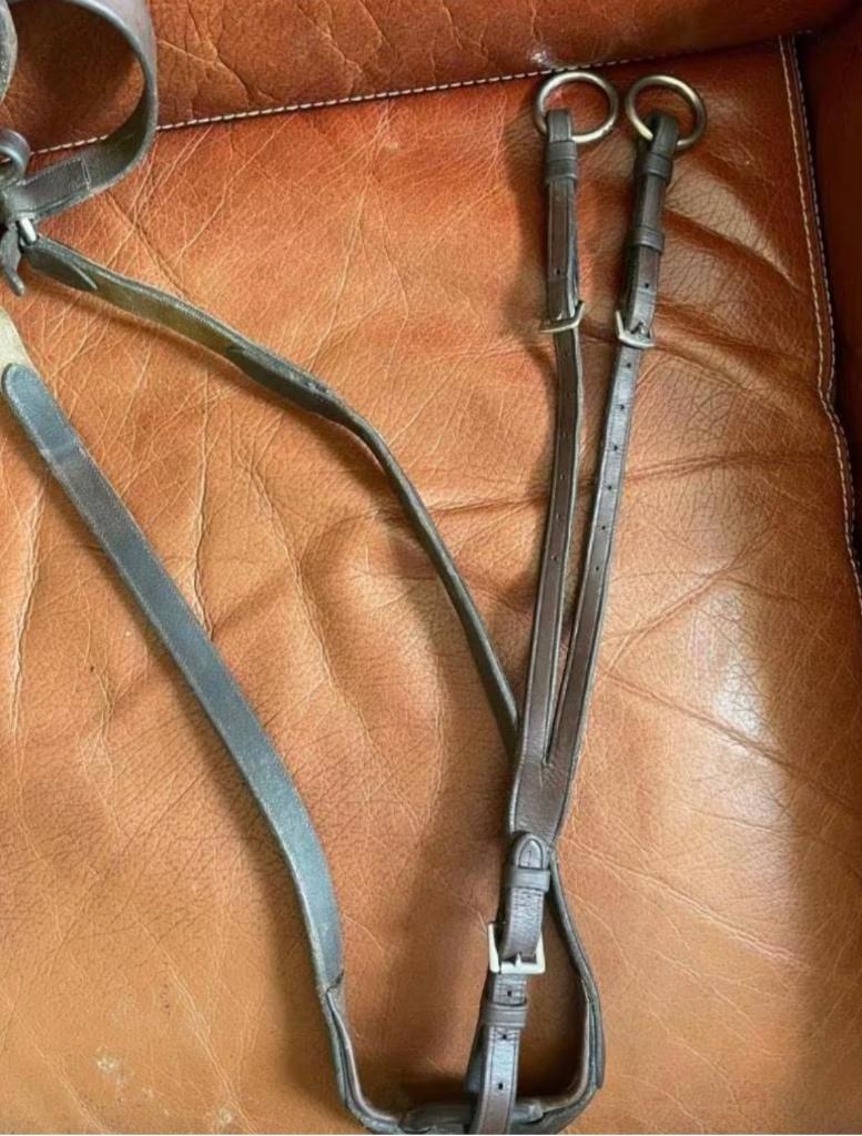 Collier de chasse et martingale Dy’on taille cheval brun, Enlèvement ou Envoi, Utilisé
