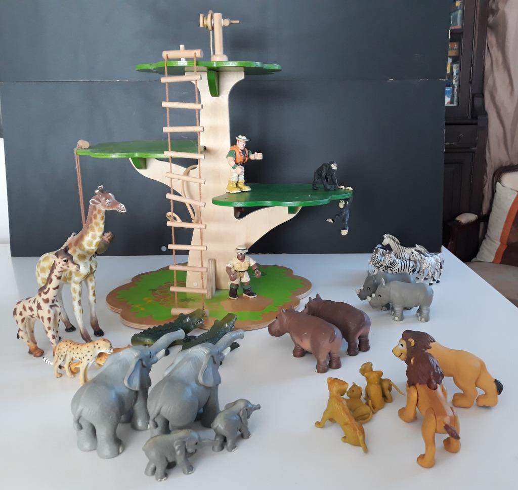 Baobab et animaux d’Afrique, Enlèvement