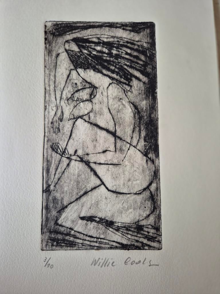 Meerdere werken Willy Cools, Antiek en Kunst, Ophalen