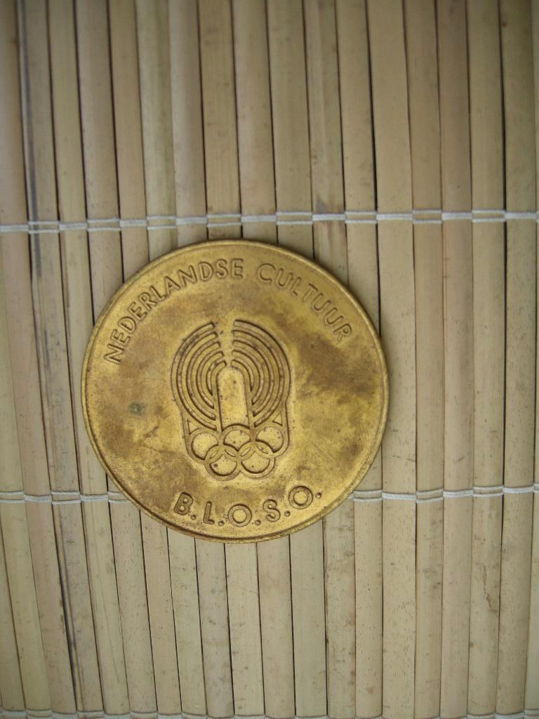 BLOSO Nederlandse cultuur 1 bronzen medaille, Ophalen of Verzenden, Brons
