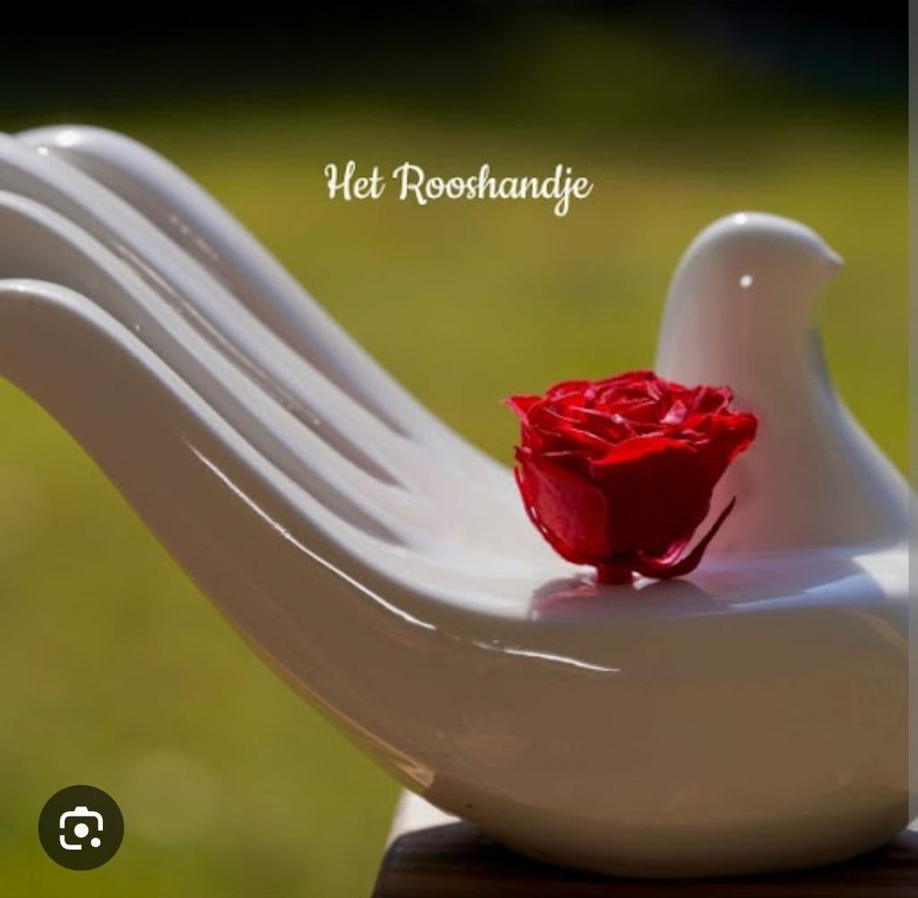 Hand in hand voor Antwerpen. Hand. Duif. Roos. Diamantje., Ophalen of Verzenden