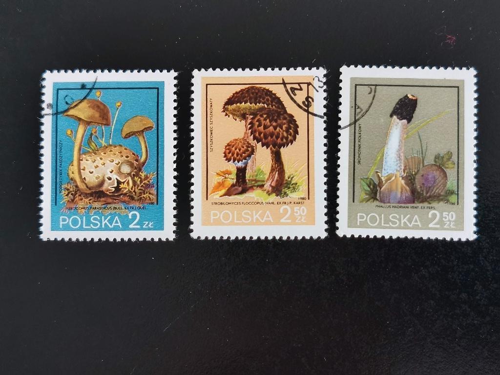 Polen 1980 - flora, niet-eetbare paddenstoelen, Postzegels en Munten, Ophalen of Verzenden, Polen, Gestempeld