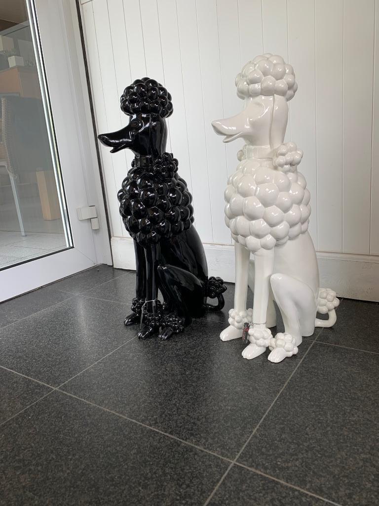 Beelden hond, Enlèvement, Neuf, Fantasy