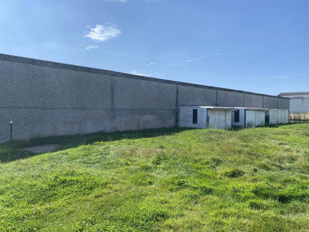 Stalling en weidegang beschikbaar voor te huren, Dieren en Toebehoren, Weidegang