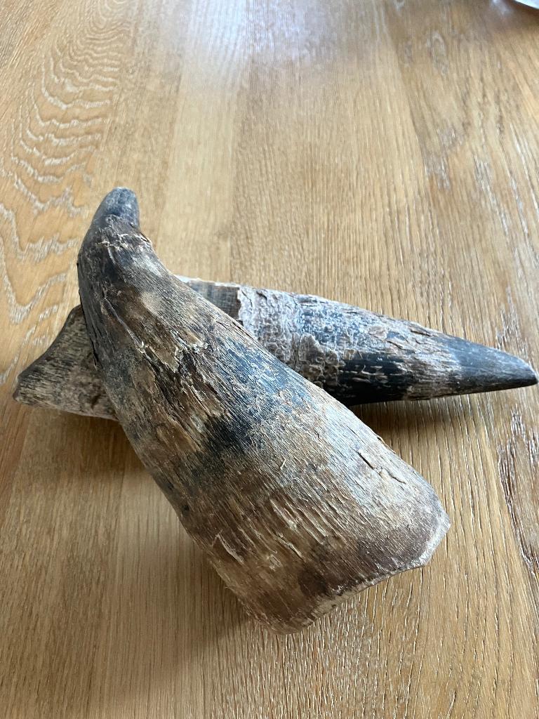 Decoratie merk Flamant nieuw, Ophalen, Nieuw