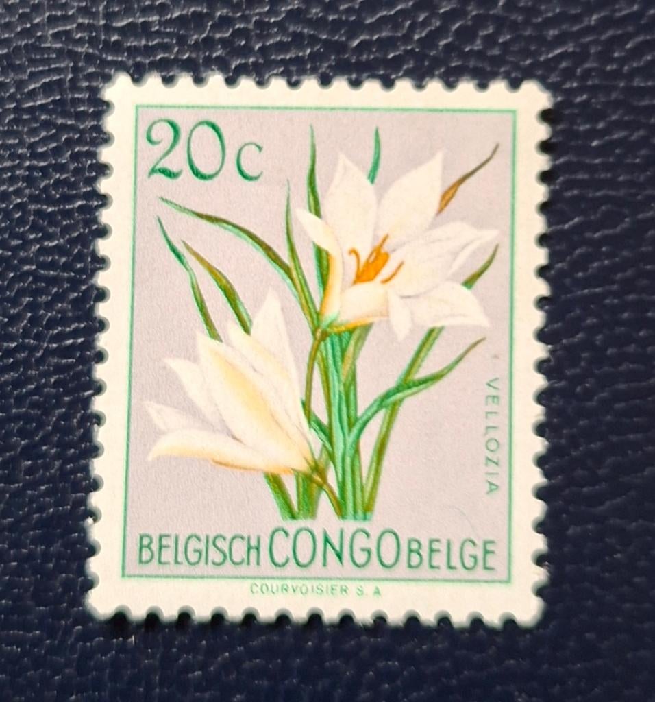 Postzegel Belgisch Congo OBP 304**, Ophalen of Verzenden, Postfris, Postfris