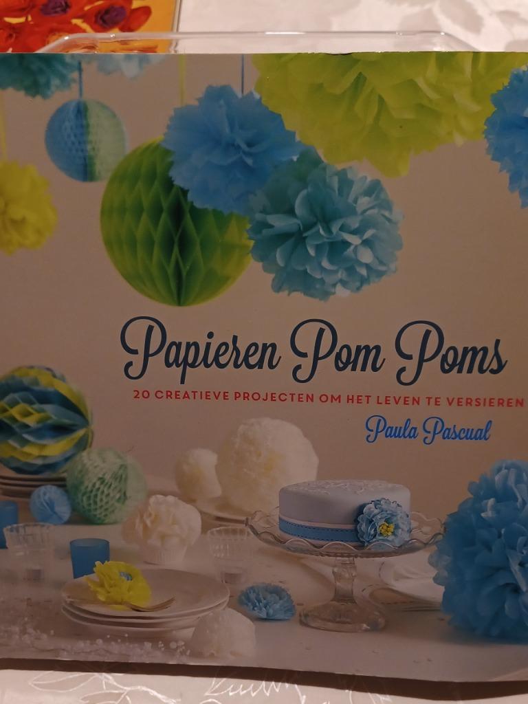 Bloemen van papier maken  (Kerstmis, Nieuwjaar, Pasen,......, Ophalen of Verzenden, Overige typen
