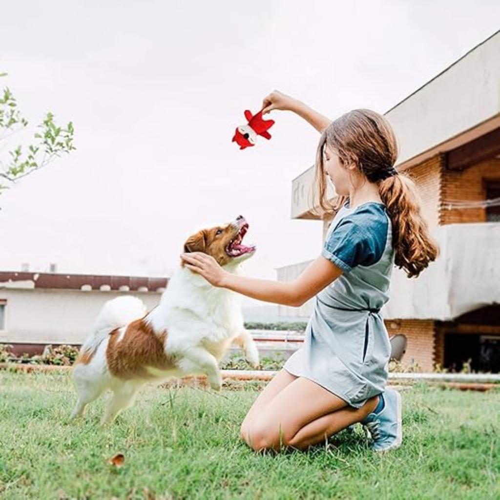 Piepspeelgoed voor puppy's SNELLE GRATIS LEVERING, Dieren en Toebehoren, -, Verzenden, -, LEGEND SANDY