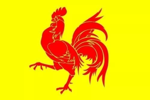 Drapeau Wallon 190 x 140, Enlèvement ou Envoi, Comme neuf