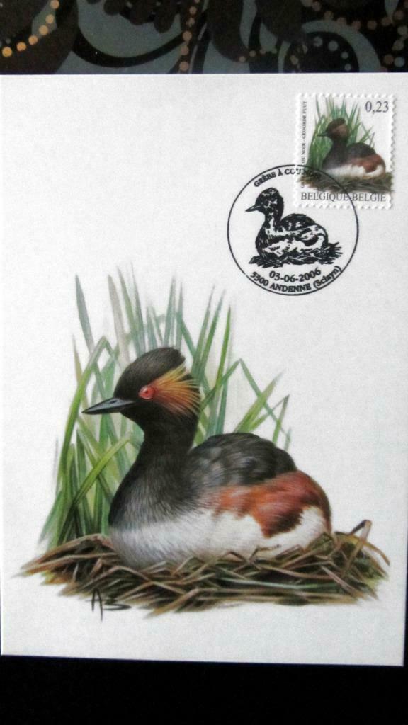 FIRST DAY OP KAART- VOGELS VAN BUZIN- DE GEOORDE FUUT, Ophalen of Verzenden, Gestempeld, Dier of Natuur