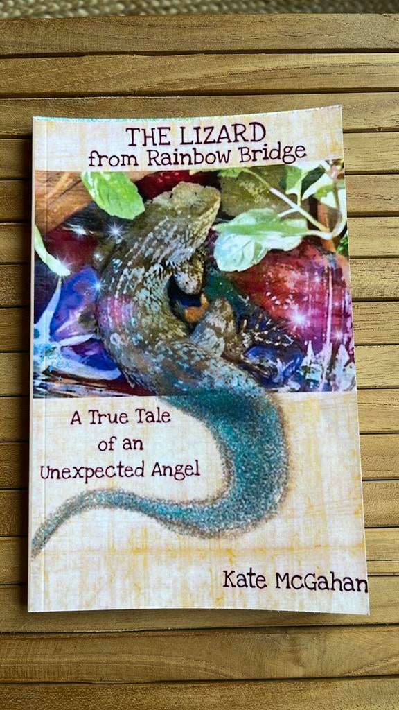 Kate Mc Gahan - the lizard from rainbow bridge, Ophalen of Verzenden, Zo goed als nieuw