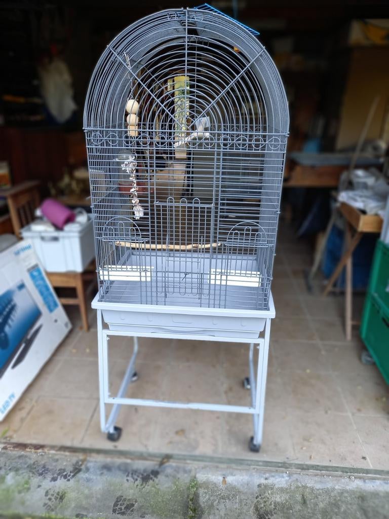 Cage volière d'intérieur sur roulettes, Animaux & Accessoires, Enlèvement, Utilisé, Métal, Volière