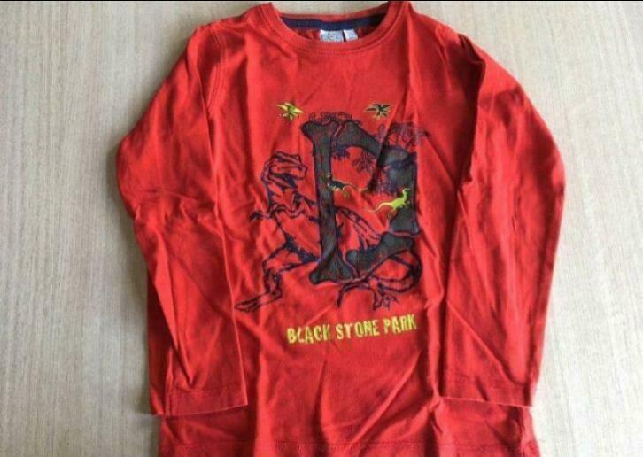Longsleeve met Dino print maat 116, Ophalen of Verzenden, Gebruikt