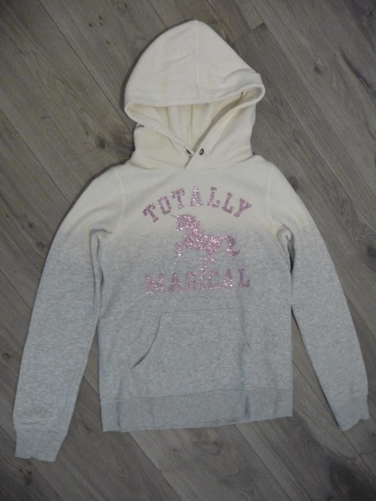 Toffe sweater met kap maat 170, Enfants & Bébés, Vêtements enfant | Taille 170, Enlèvement ou Envoi, Pull ou Veste, H&M, Comme neuf
