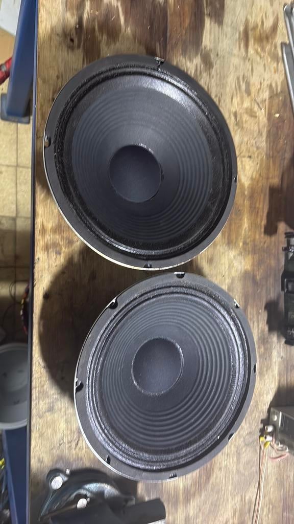 2x 12 inch speaker. Nog nooit gebruikt!!, Audio, Tv en Foto, Luidsprekerboxen, Ophalen of Verzenden, Zo goed als nieuw