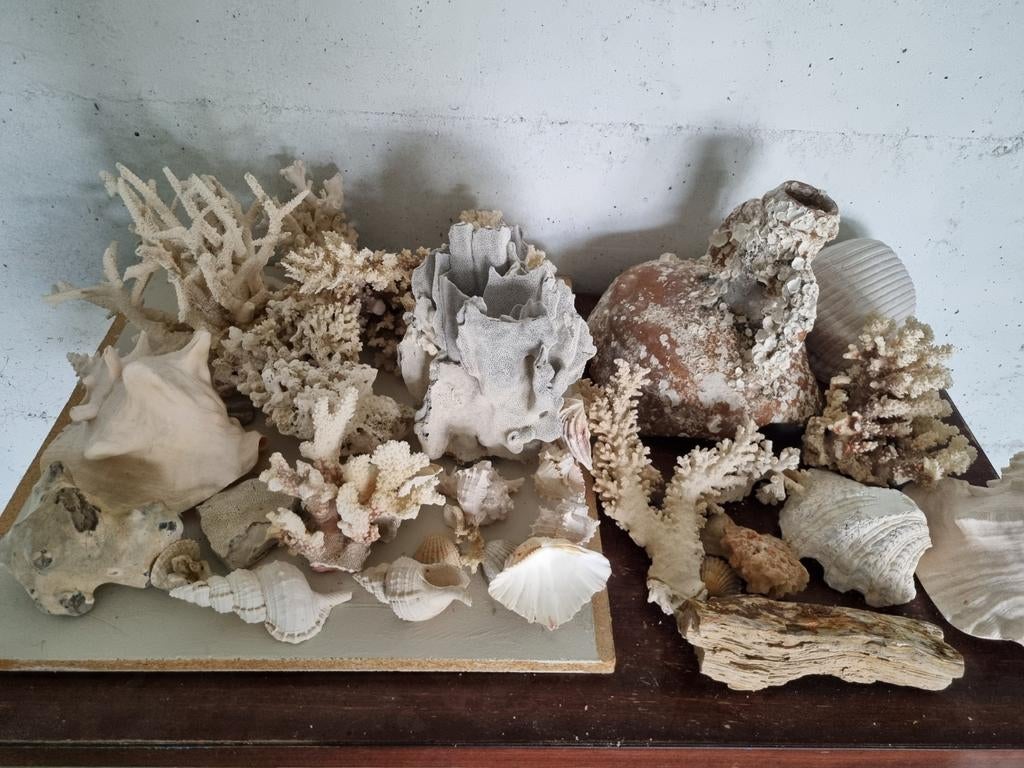 Décorations pour aquarium