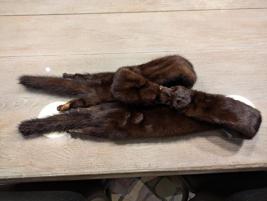 2 echte nertsbondsjalen, perfect voor carnaval, Ophalen of Verzenden, Zo goed als nieuw, Sjaal