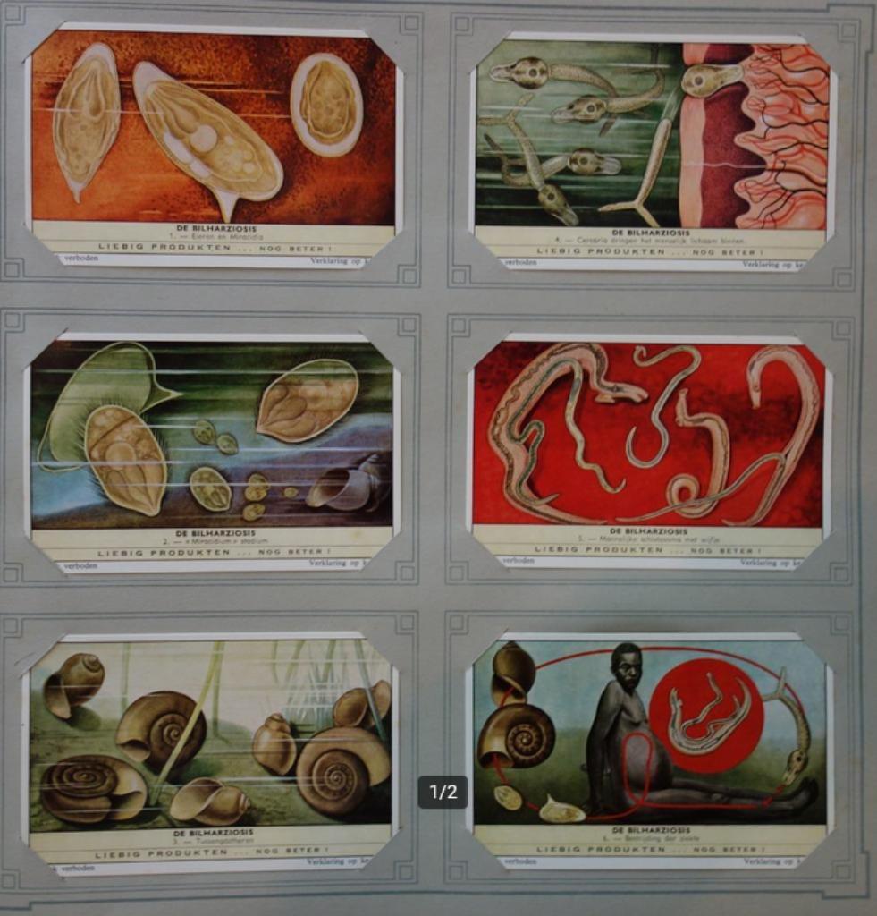 Liebig Chromos - De Bilharziosis (1961), Verzamelen, Ophalen of Verzenden