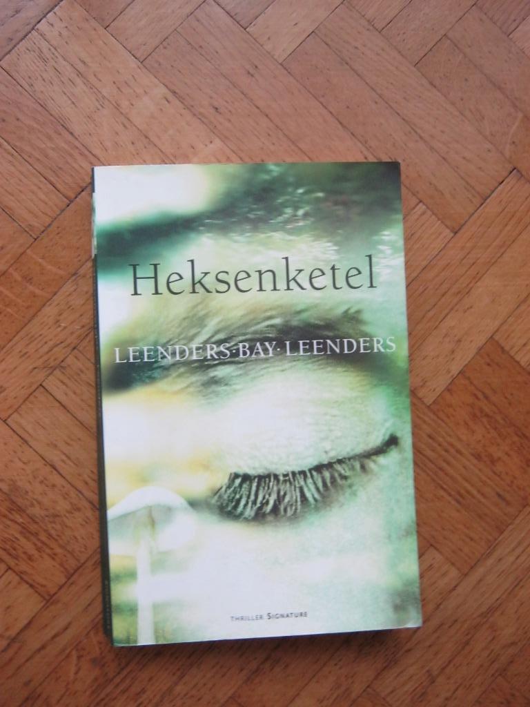 A. en H. Leenders & M. Bay : Heksenketel, Verzenden, Gelezen