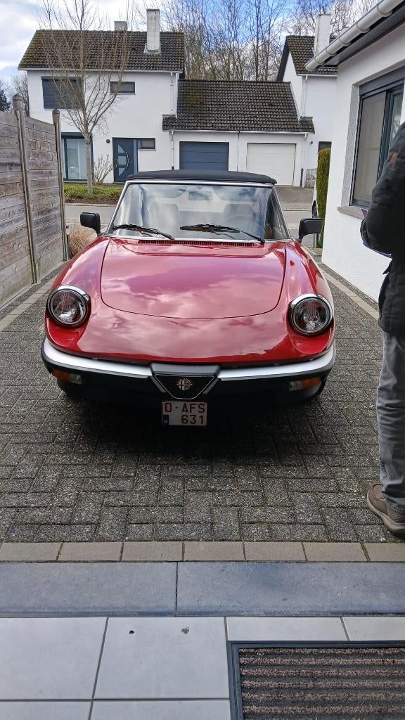 Alfa spider oldtimer, Spider, Particulier, Te koop, Benzine