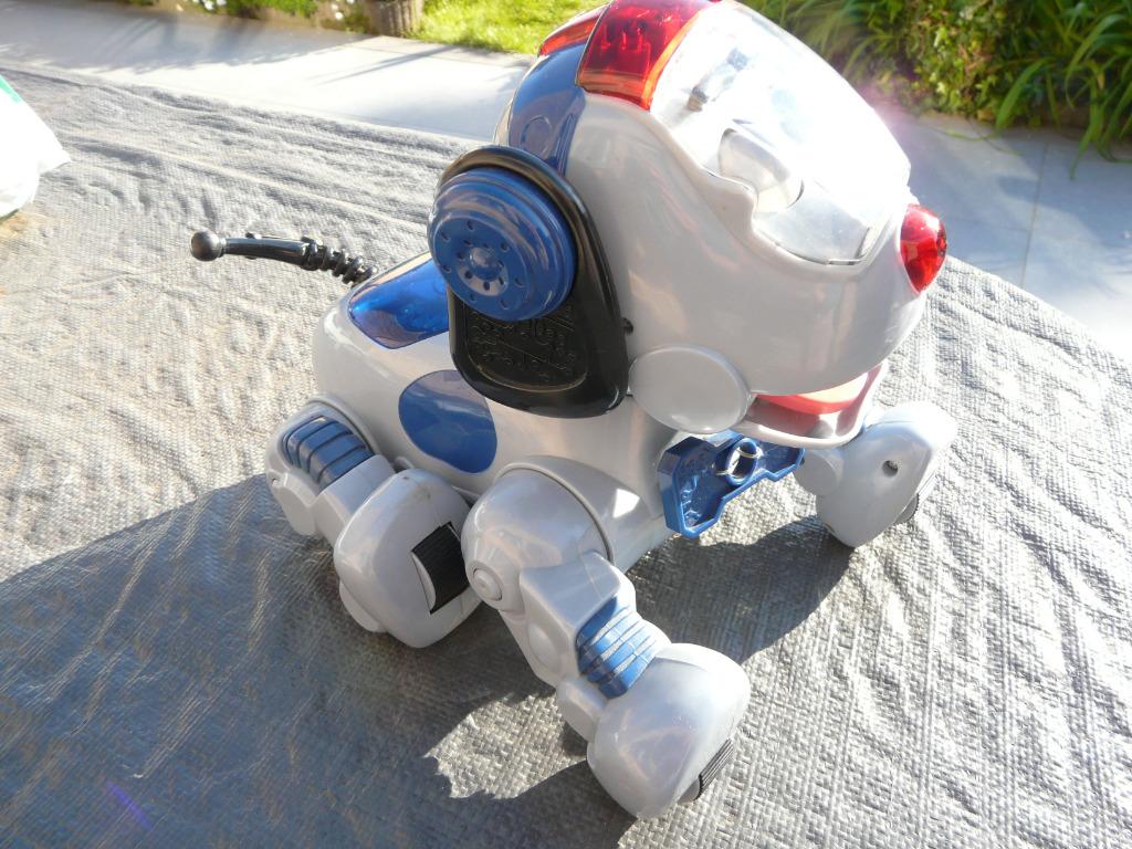 Fisher- Price: Rocket de wonderdog, Ophalen, Zo goed als nieuw, Overige typen, Met licht