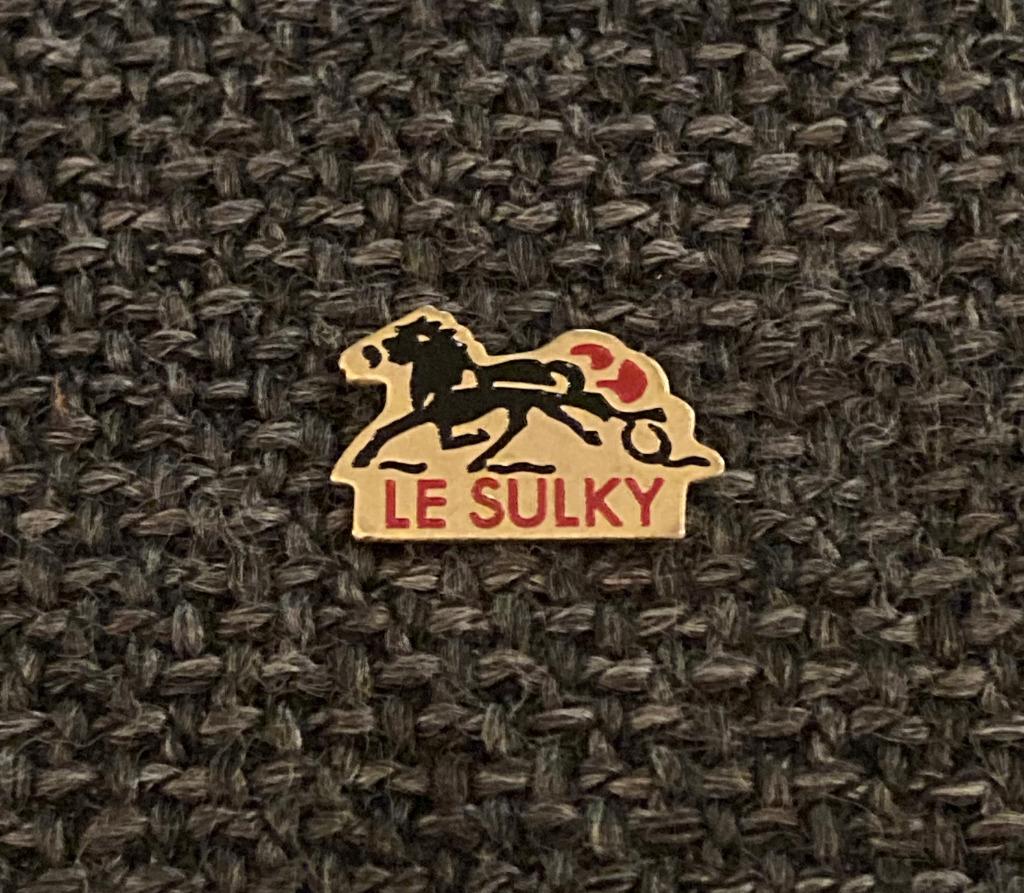 PIN - LE SULKY - COURSE HIPPIQUE - CHEVAL - PAARD - HORSE, Envoi, Utilisé, Sport, Insigne ou Pin's