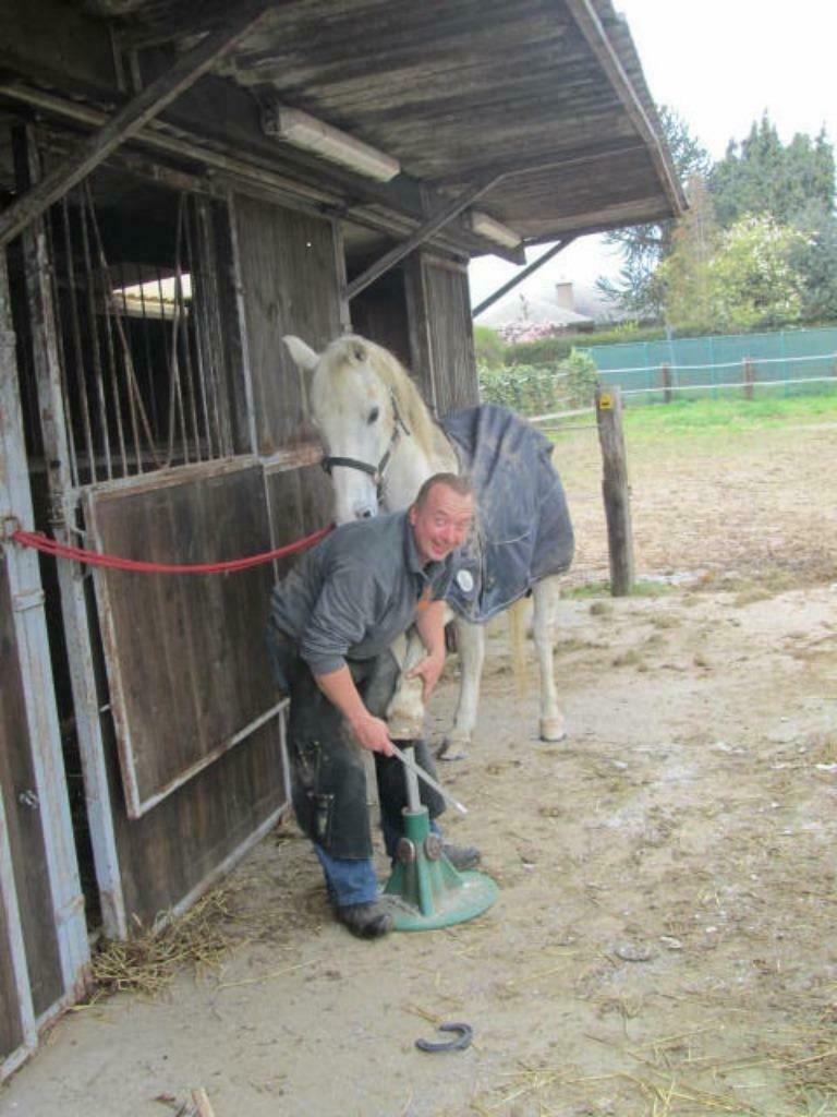 hoefsmid Bart in Vlaanderen, Dieren en Toebehoren, Paarden
