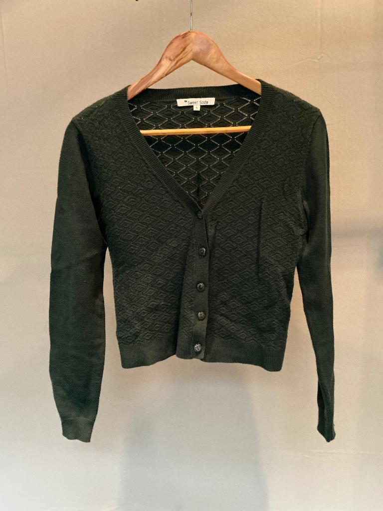 weinig gedragen - groen truitje SWEET SODA - s, Kleding | Dames, Sweet soda, Ophalen of Verzenden, Zo goed als nieuw, Maat 36 (S)
