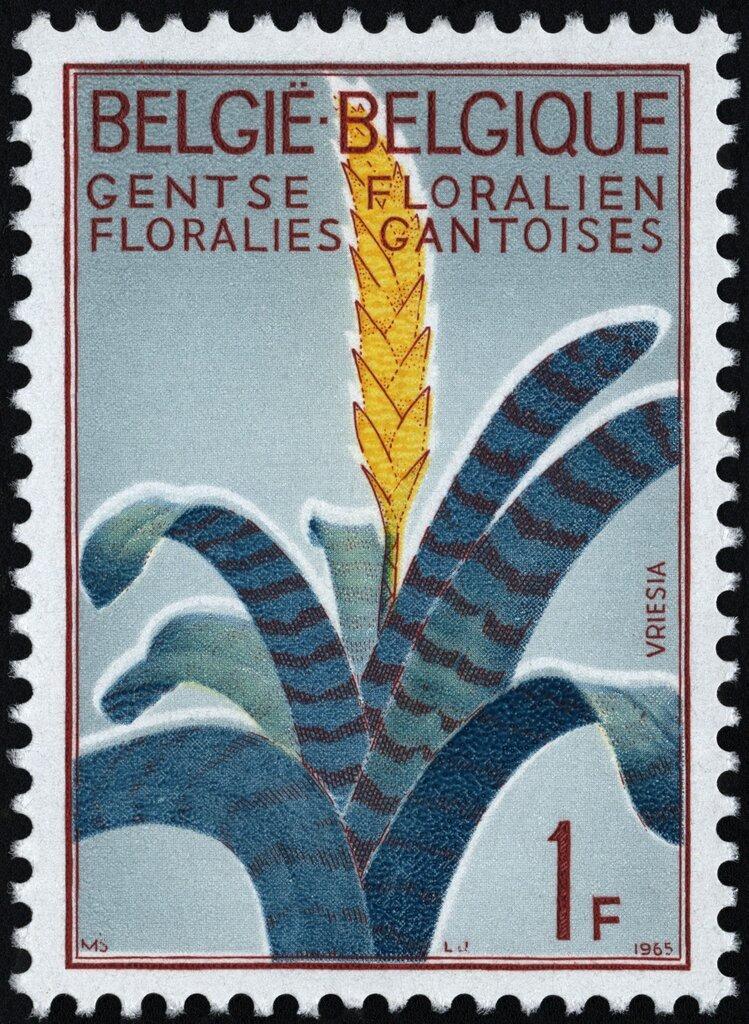 1315-1317 - uitgiftejaar 1965 Gentse floraliën postfris XX, Postzegels en Munten, Postzegels | Europa | België, Orginele gom, Kunst