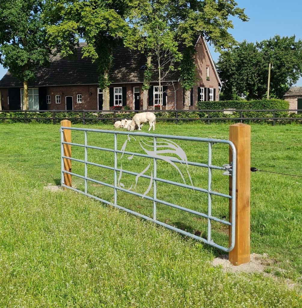 Poorten, IJzeren weidepoort, Poort, Gegalvaniseerde poort, Pâturage, 4 chevaux ou poneys ou plus