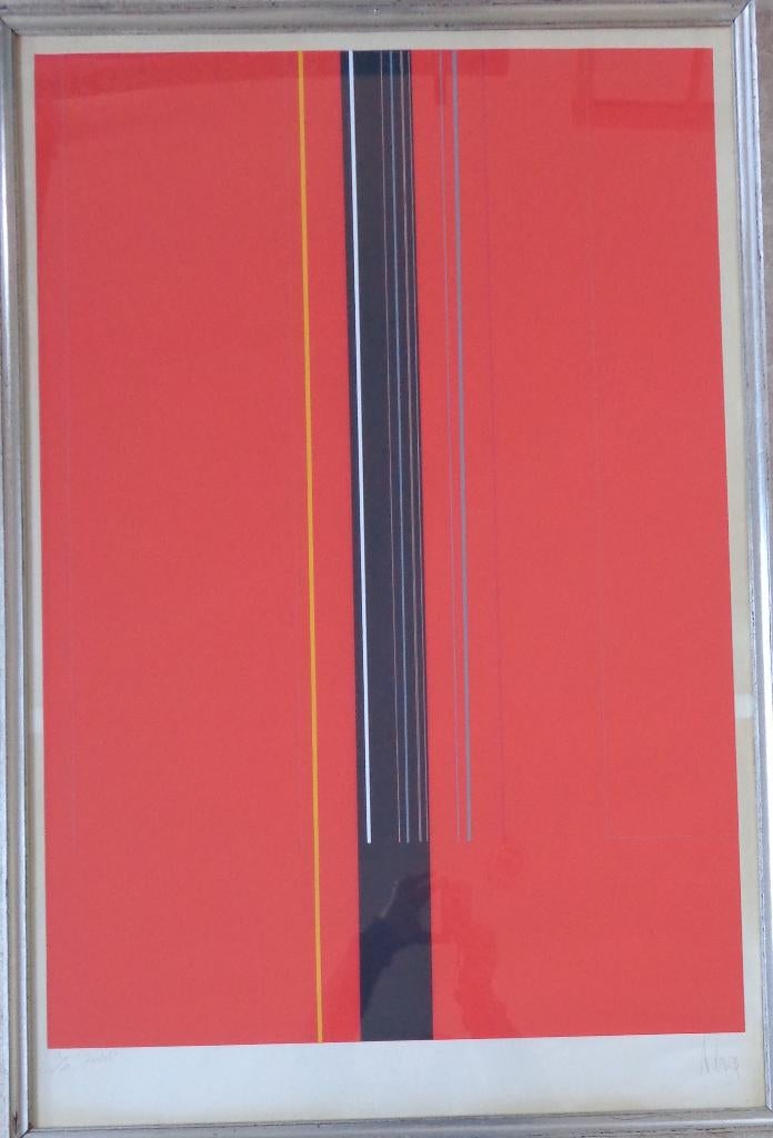LUC PEIRE / ROSTEL / KLEURZEEFDRUK / 114x77cm / KADER / SIG, Ophalen
