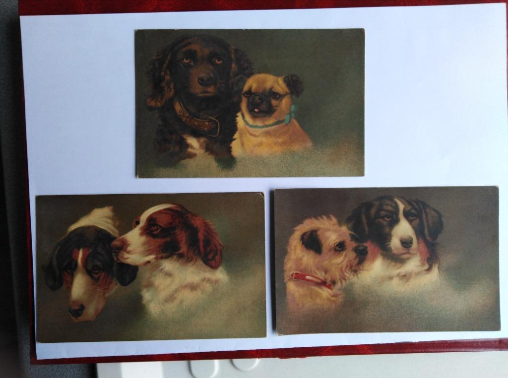 Carte pastel WENAU, Collections, Cartes postales | Animaux, Envoi, 1920 à 1940, Non affranchie, Chien ou Chat
