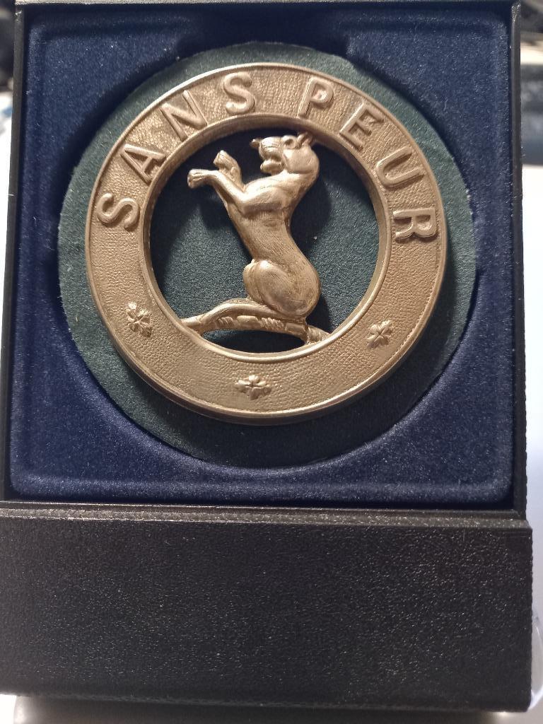 Insignes de bérèt britanniques, Enlèvement, Armée de terre, Emblème ou Badge